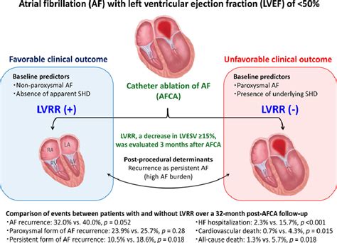 lv reverse remodeling in response to omt 江原